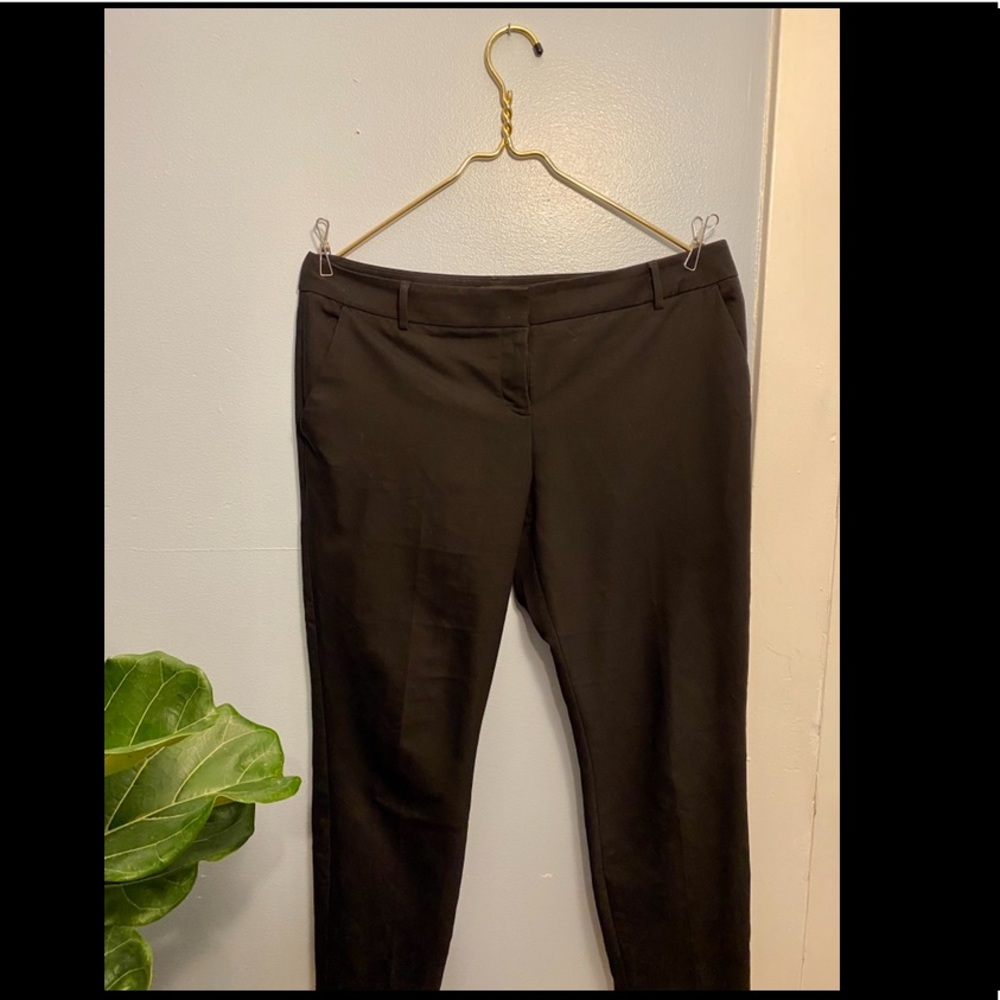 Express Columnist Pants